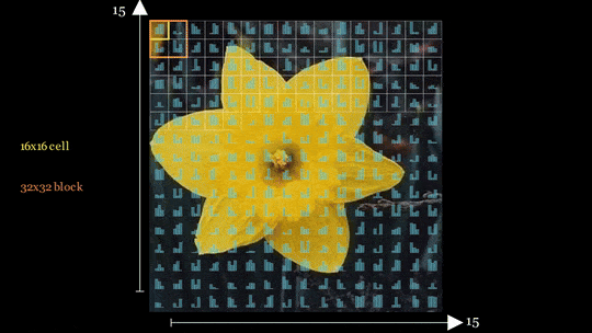 Animation of the overlapping block-normalization process.