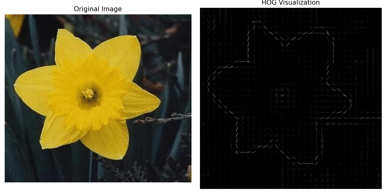 The resulting visualization constructed from histograms.